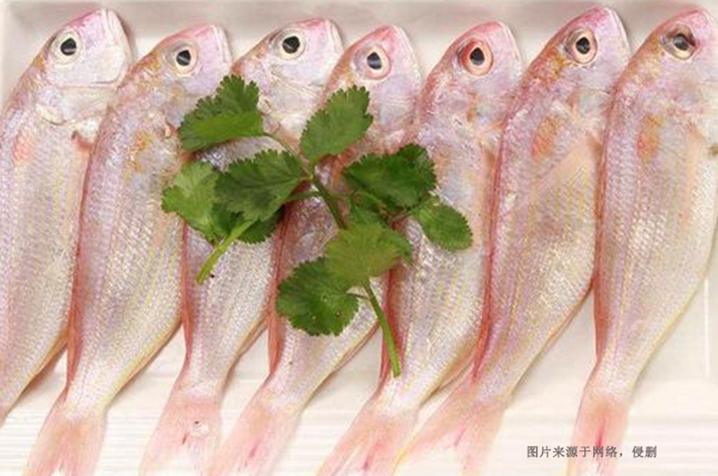 越南冷凍魚(yú)進(jìn)口清關(guān)流程到廣州南沙代理金線魚(yú)案例